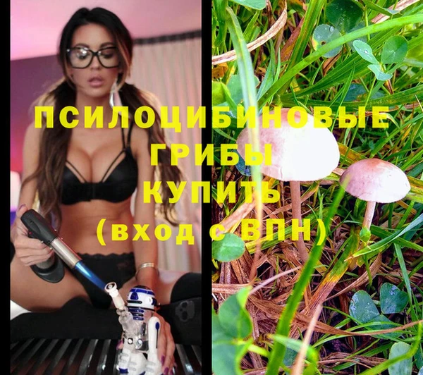 MESCALINE Гусиноозёрск