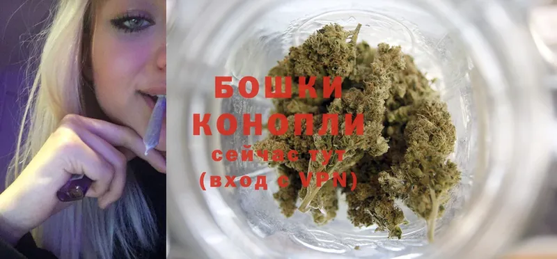 Бошки Шишки White Widow  купить наркотики цена  Ершов 